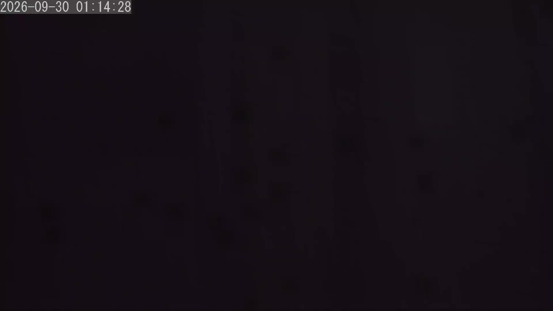 Live camera view